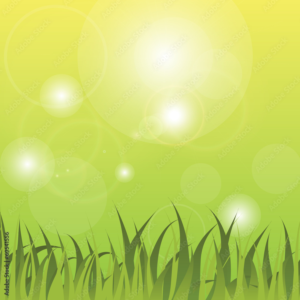 Fototapeta premium Spring background
