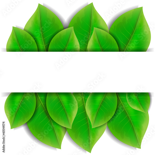 Green leaves
