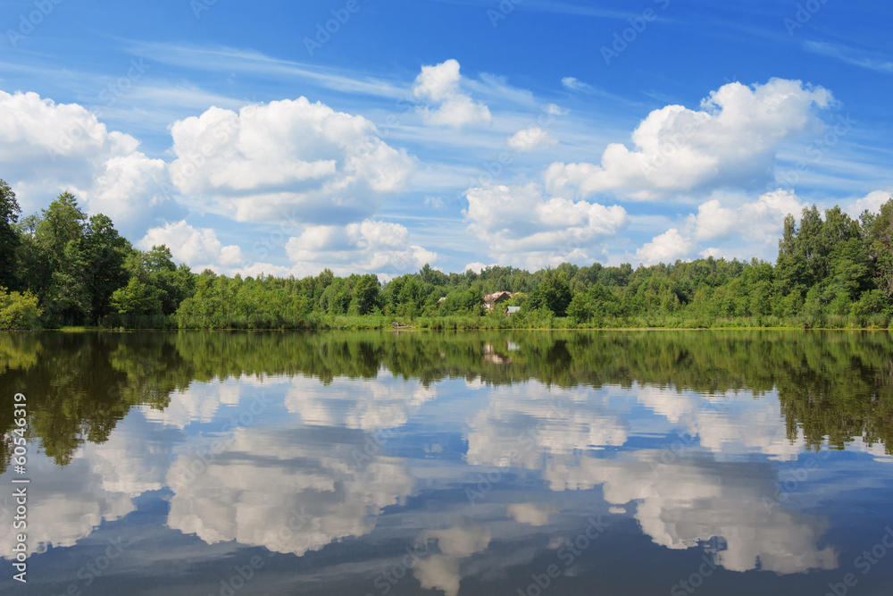 Water landscape with the wood and reflection