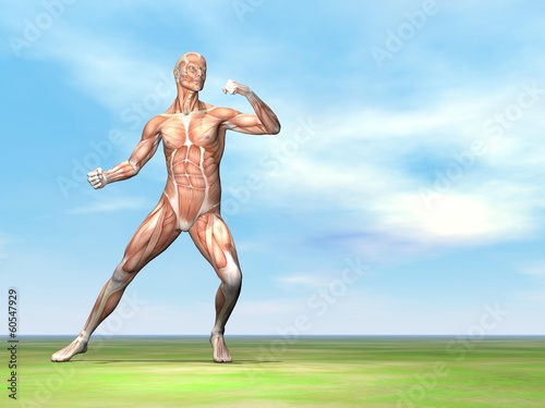 Male musculature ready to fight - 3D render