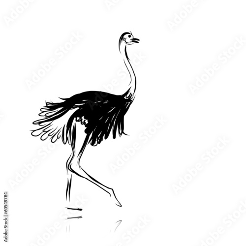 Ostrich sketch black for your design