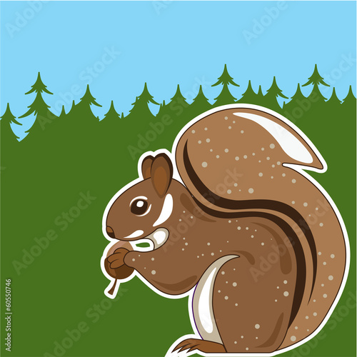 Squirrel