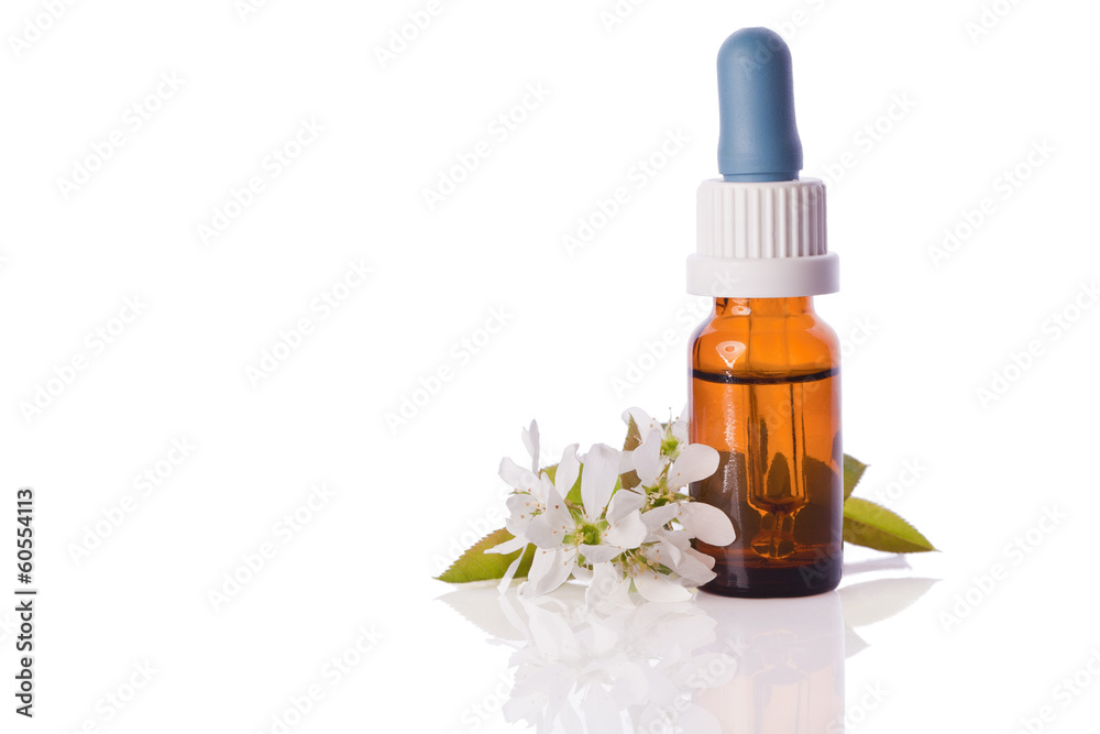 white blossom homeopathic therapy essence white blossom homeopathic therapy essence