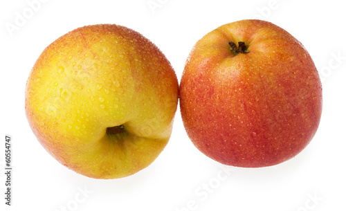 two apples in drops on a white background