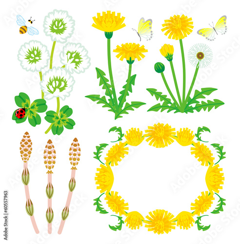 Spring Plants set