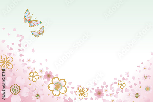 Two Butterflies and cherry blossoms