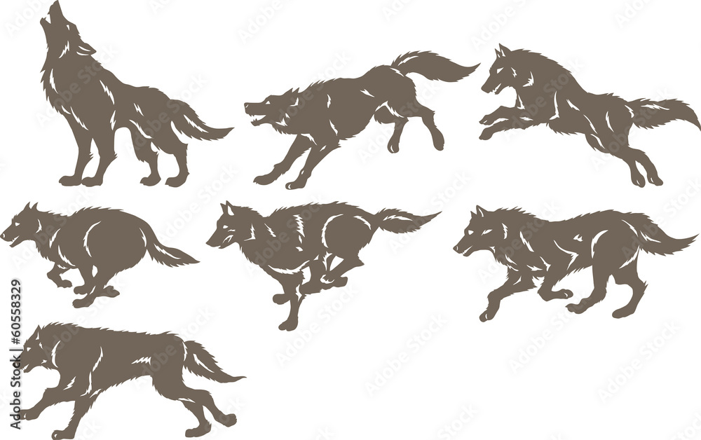 Fototapeta Running wolves