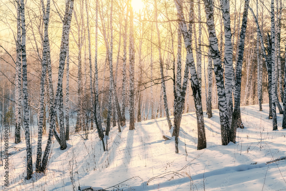 Naklejka premium Sunset in winter forest