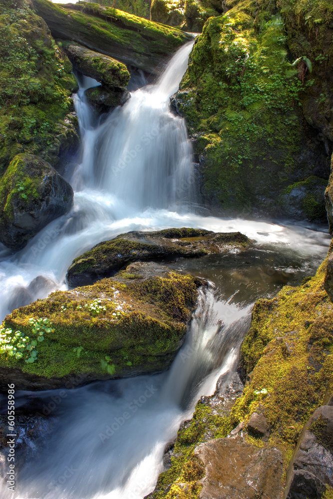 Obraz premium Washington Waterfall
