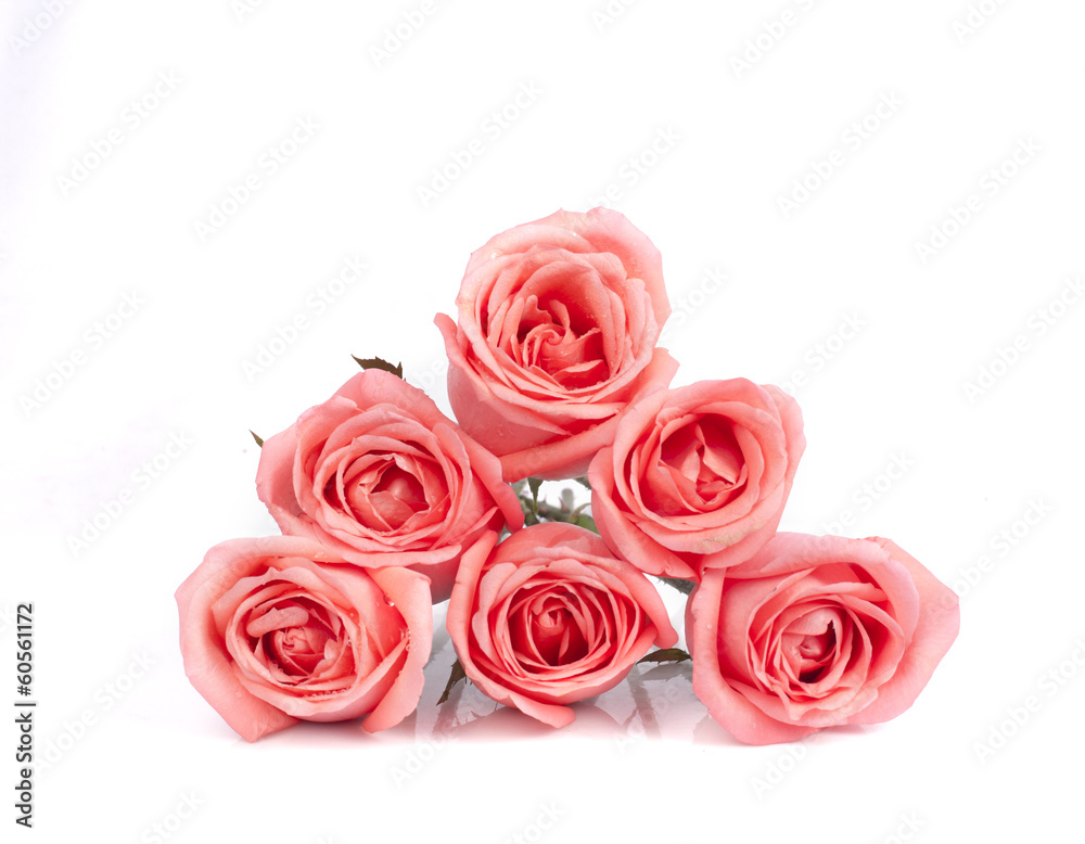 Background image of pink roses Background image of pink roses
