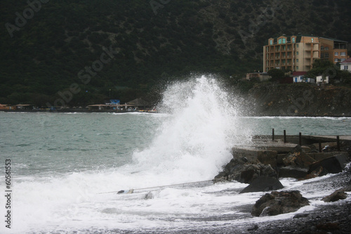 Black Sea