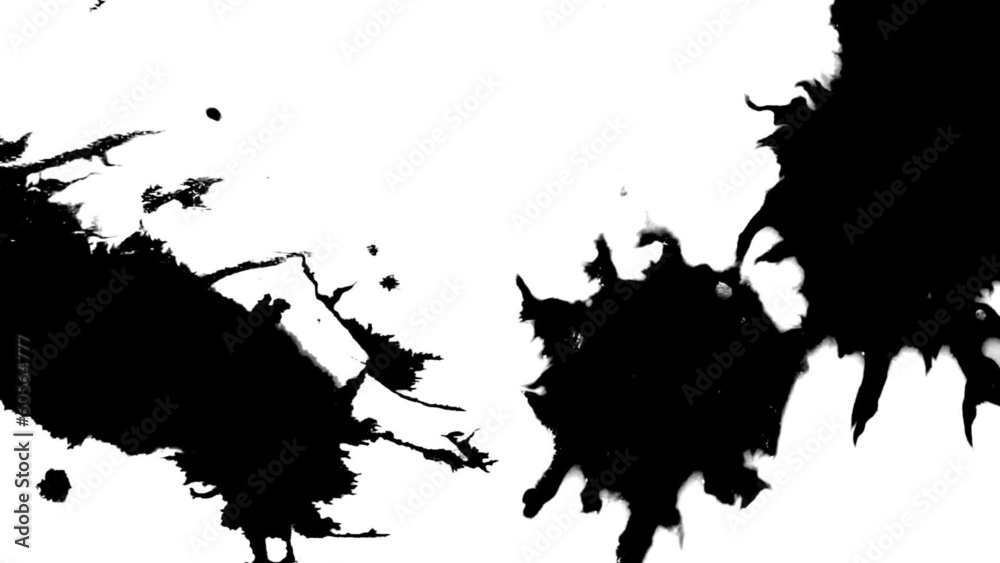 Ink blots are falling and spread. Macro sequences. Ink blots are falling and spread. Macro sequences.