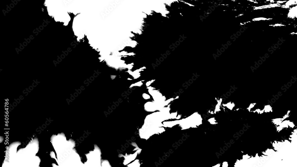 Ink spreads. Sequence. Ink spreads. Sequence.