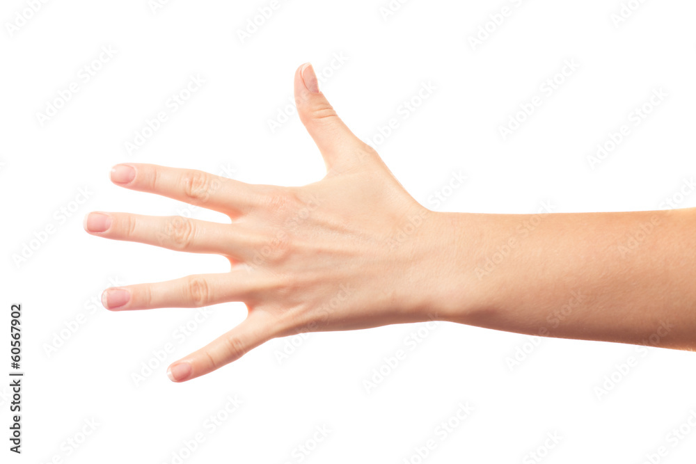 Five fingers on white background