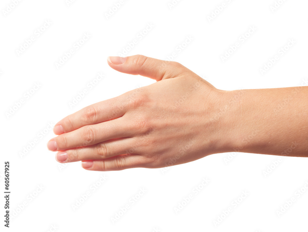 Outstretched human hand isolated Outstretched human hand isolated