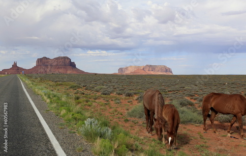 chevaux sauvages à monument Valley, Arizona © fannyes