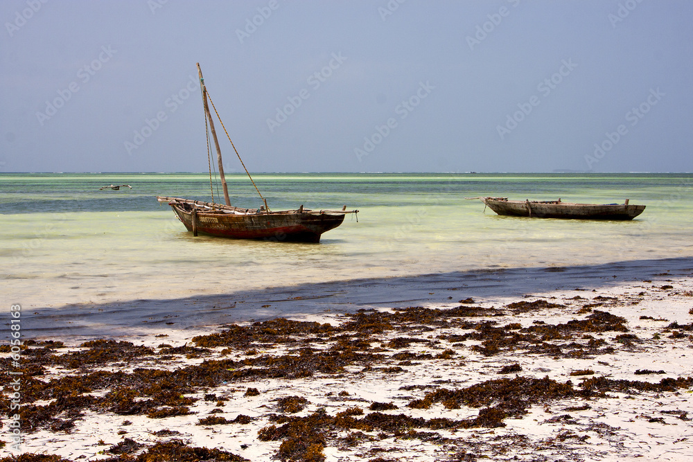 relax africa coastline boat pirague lagoon relax africa coastline boat pirague lagoon