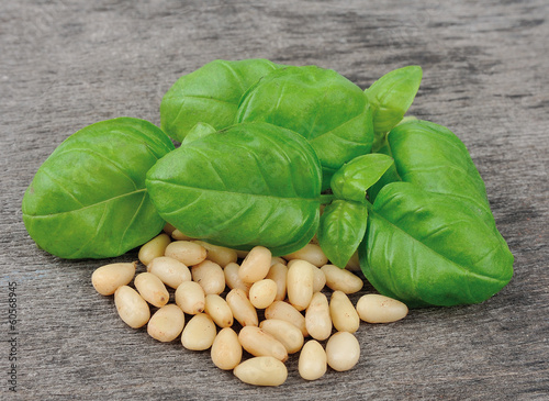 Basil and pine nuts photo