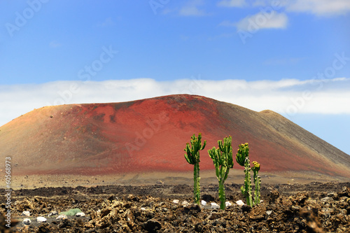 Принти на полотні Mountain Colorado, Lanzarote
