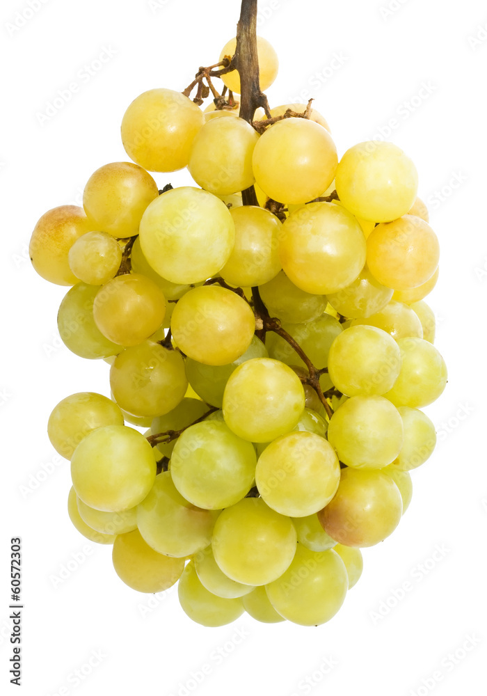 Grapes Grapes