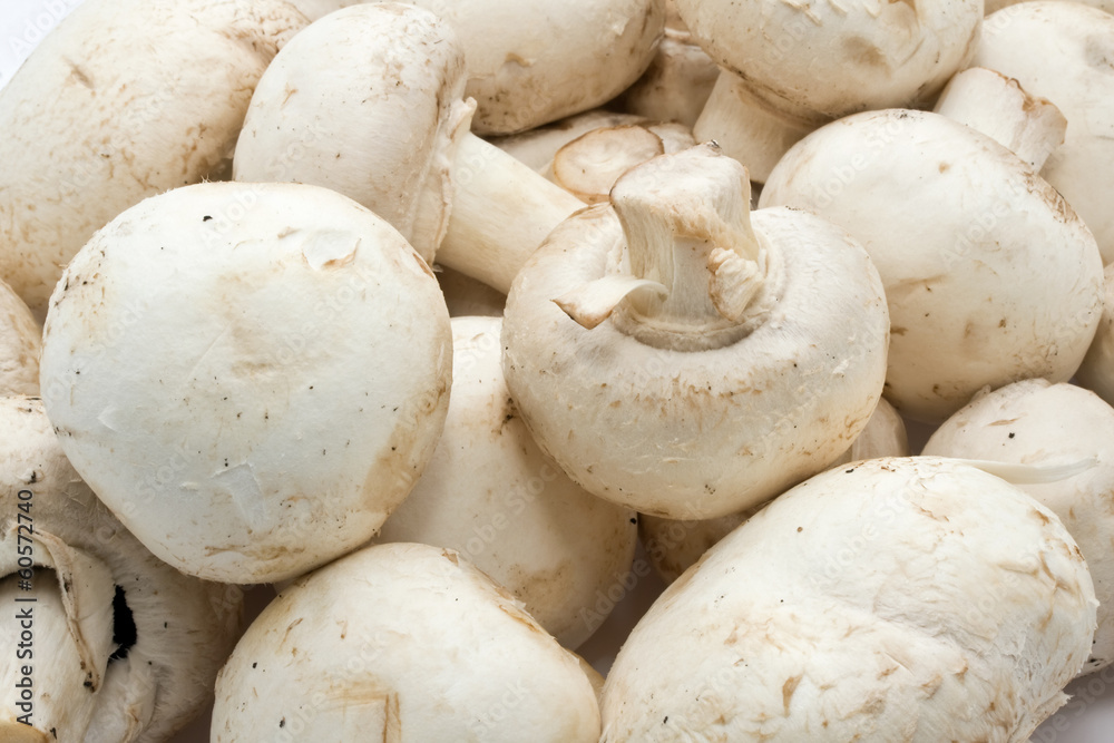 Champignon mushrooms