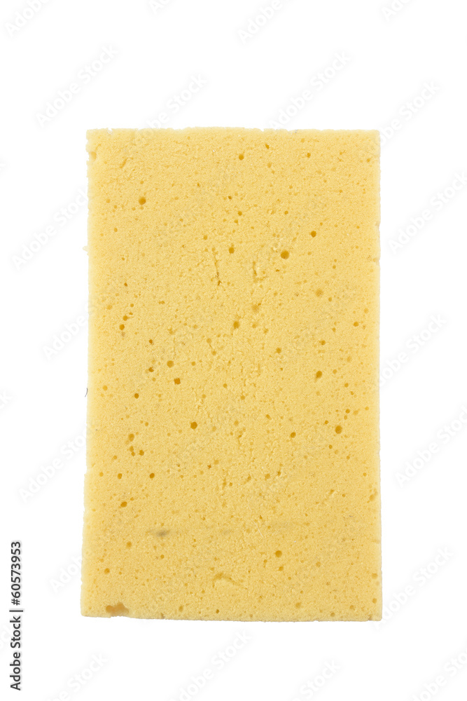 sponge sponge