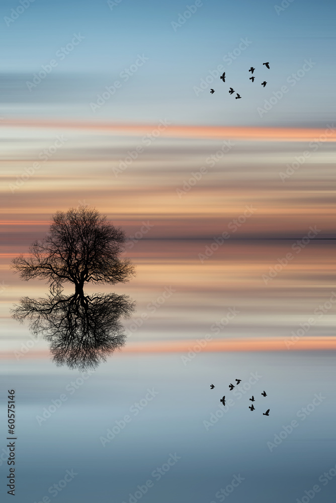 Silhouette of tree on calm ocean water landscape at sunset - obrazy, fototapety, plakaty 