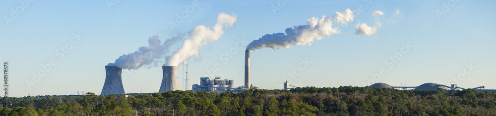 coal power plant in florida