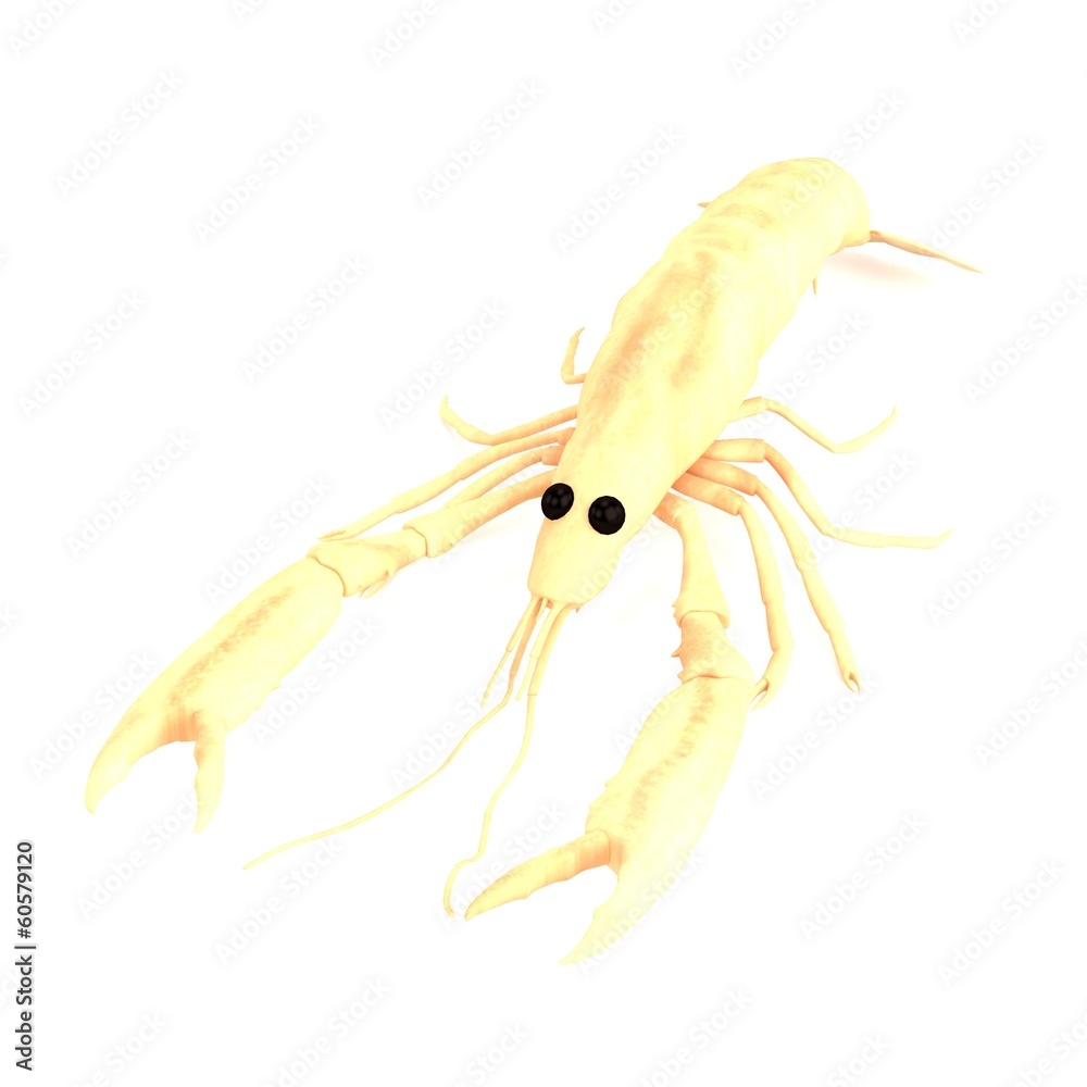 realistic 3d render of crustacean - scampi realistic 3d render of crustacean - scampi