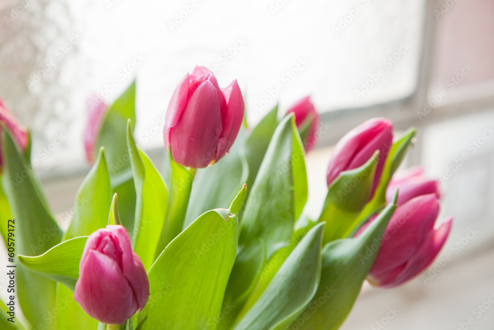 Fototapeta premium spring flower decoration