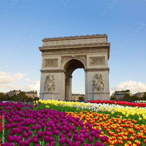 Fototapeta Naklejka Na Ścianę i Meble -  Arc de triomphe, Paris, France