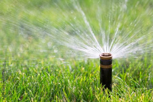 Sprinkler watering grass photo