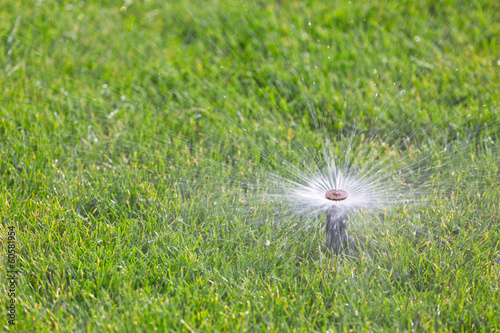 Sprinkler watering grass