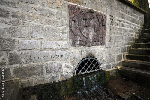 Quelle der Lamme (Lamspringe)