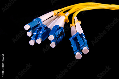 Fiber pigtail