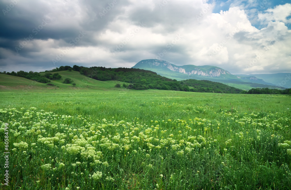 Beautiful mountain landscape with cloudy sky. Field in Crimea. Beautiful mountain landscape with cloudy sky. Field in Crimea.
