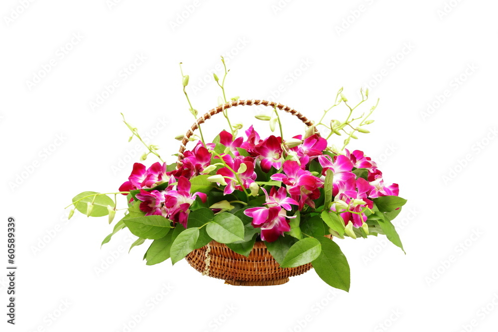 Bouquet orchid flowers in basket isolated on white