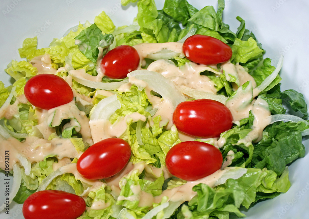 Fresh garden salad with tomatoes, onions and creamy dressing