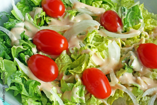 Fresh garden salad with tomatoes, onions and creamy dressing