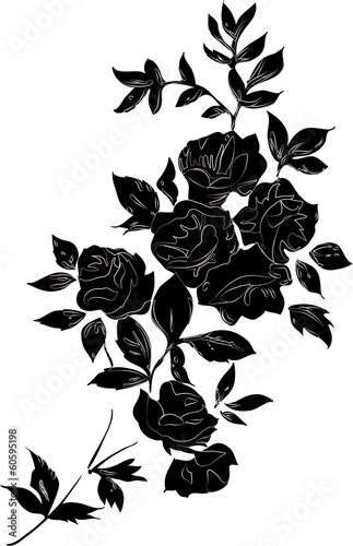Black rose