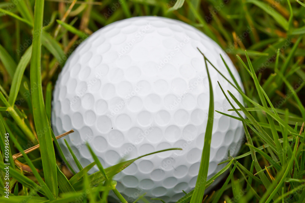 Closeup of a golf ball in the rough Closeup of a golf ball in the rough