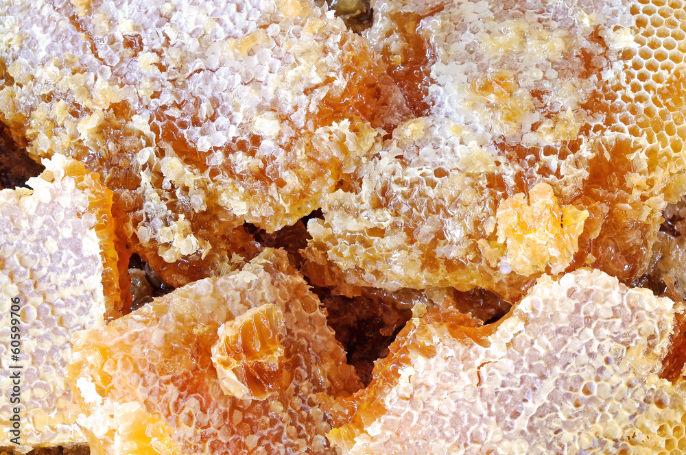 Fototapeta premium Honeycombs with honey