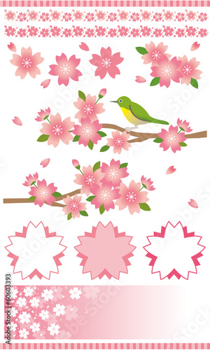桜の素材