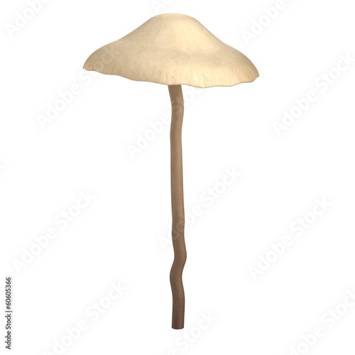 realistic 3d render of poison mushroom