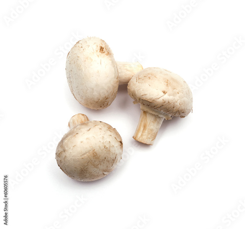 mushrooms isolated on white background