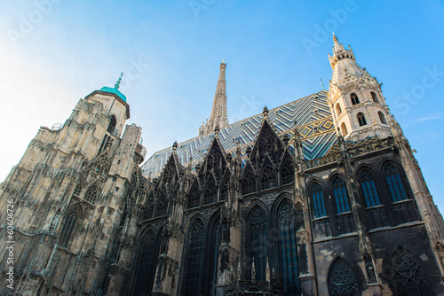 St Stephen cathedral in Vienna , Austria