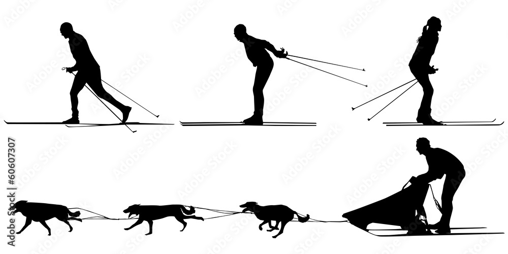 Ταπετσαρία cross country skiers, sled and team of dogs