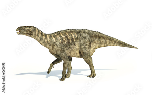 Fototapeta Naklejka Na Ścianę i Meble -  Iguanodon Dinosaur photorealistic representation, side view.
