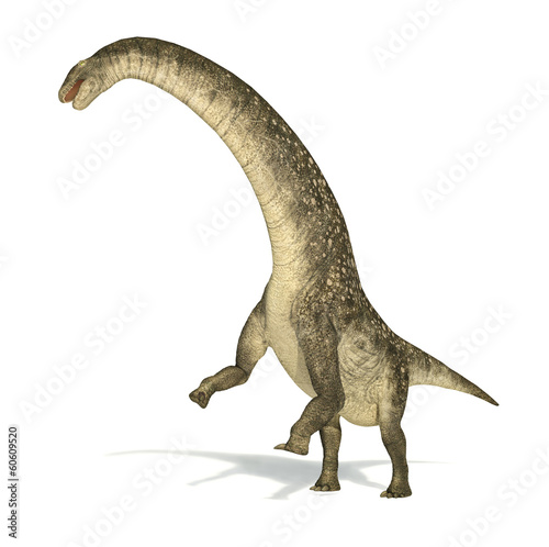 Titanosaurus dinosaur, photorealistic and scientifically correct © matis75
