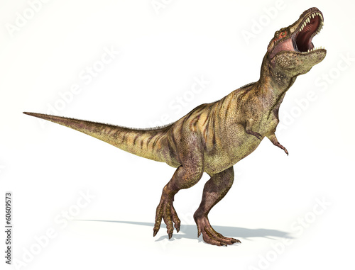 Tyrannosaurus Rex dinosaur  photorealistic representation. Dynam